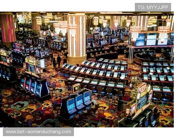 澳门娱乐公司在数字化转型中的机遇与挑战分析 澳门娱乐公司在数字化转型中的机遇与挑战分析