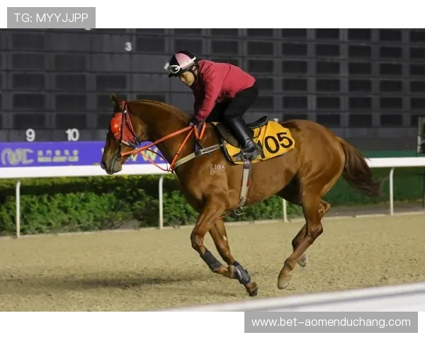 澳门赛马最新赛事精彩回顾，精彩瞬间集锦带你回味