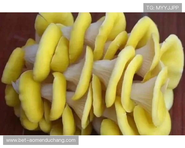 澳门银河钻石秀表演票价优惠信息，助你以实惠价格享受奢华演出盛宴