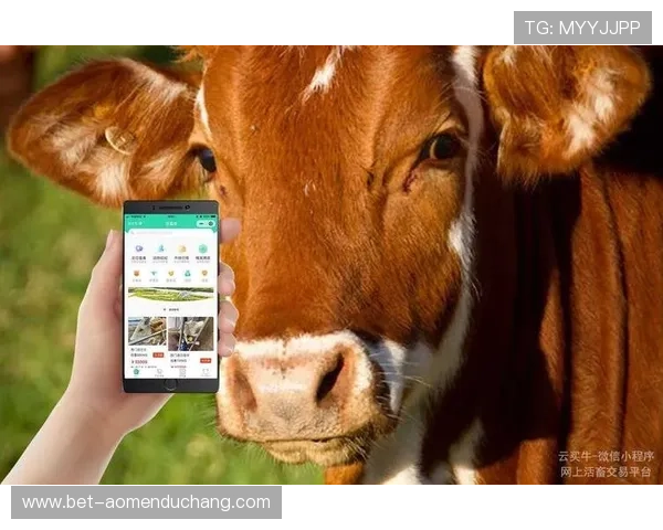 访问银河官网总站获取最新的充值优惠与支付方式，享受安全便捷的交易体验