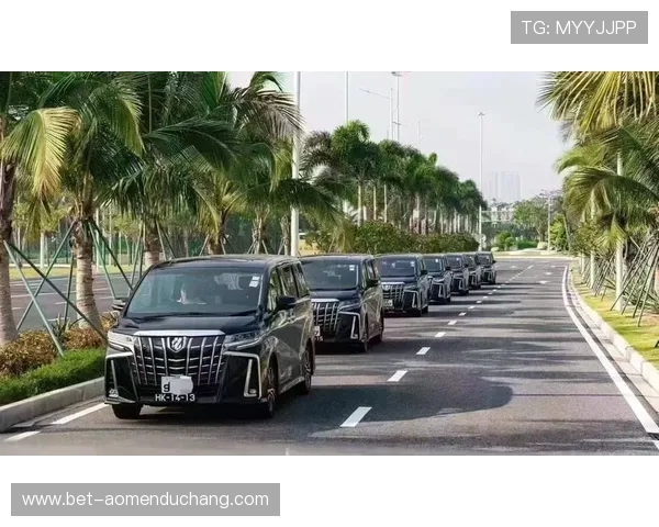 澳门利宝在线官网用户体验优化策略与常见问题解决方案分析