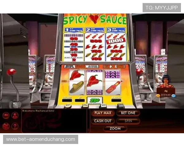 深入角子机玩法图解，学习不同游戏模式的玩法特点与技巧